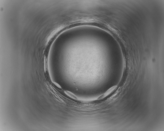 X0000057081171200509091240