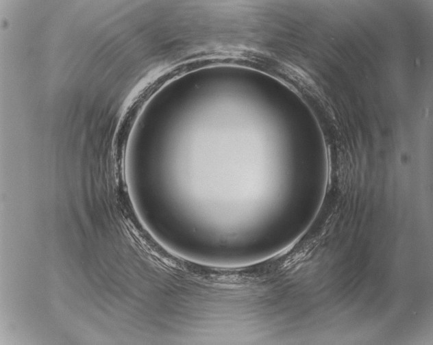 X0000057081172200509091240