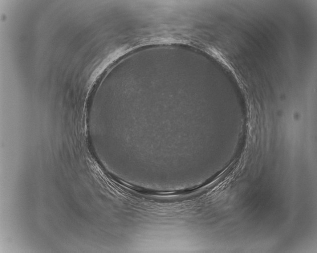 X0000057081173200509091240