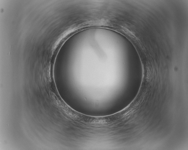 X0000057081174200509091240