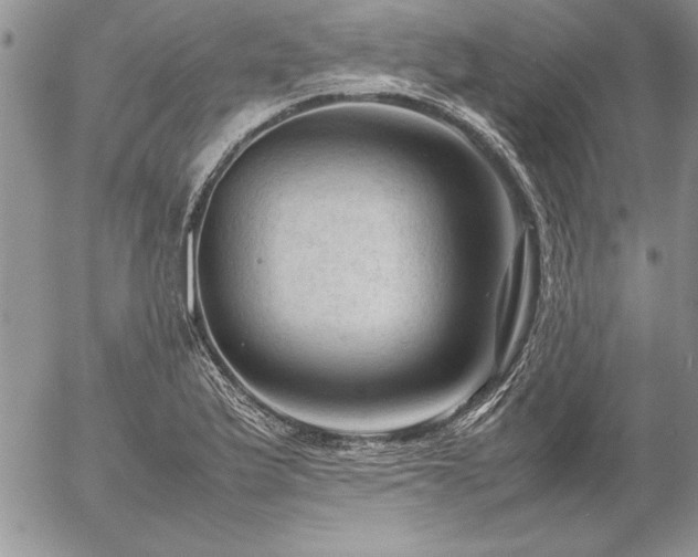 X0000057081175200509091240