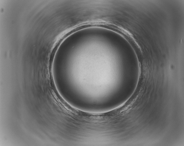 X0000057081176200509091240