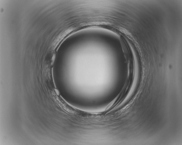 X0000057081177200509091240