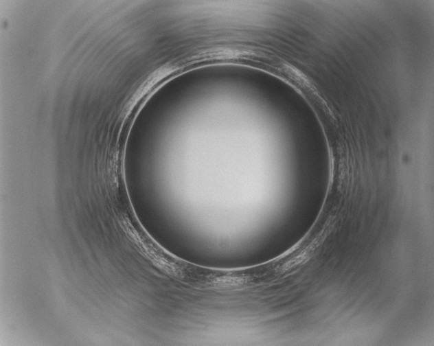 X0000057081178200509091240