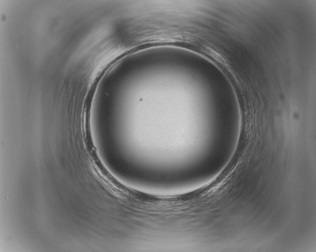 X0000057081179200509091240