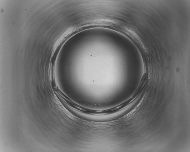 X0000057081180200509091240