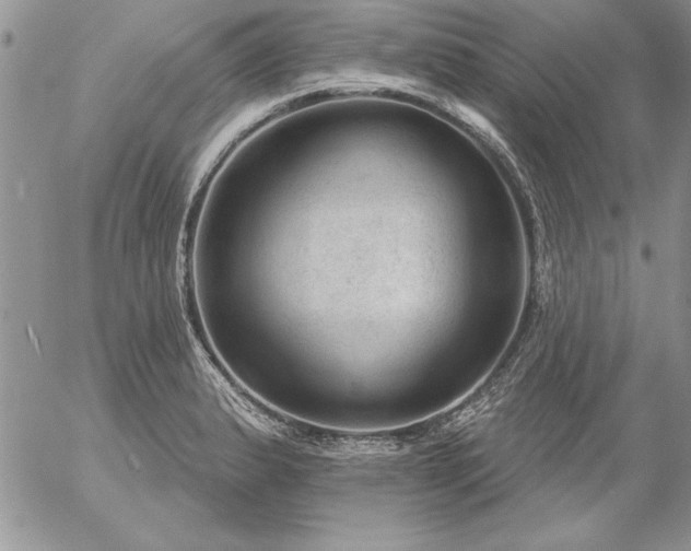 X0000057081183200509091240