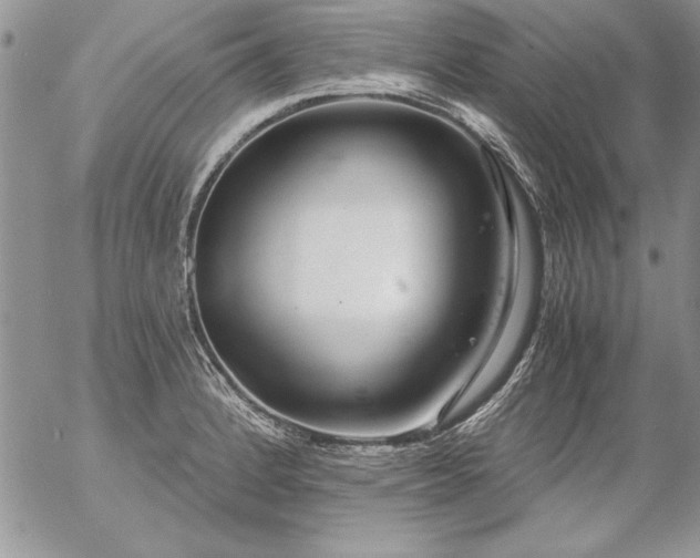 X0000057081184200509091240