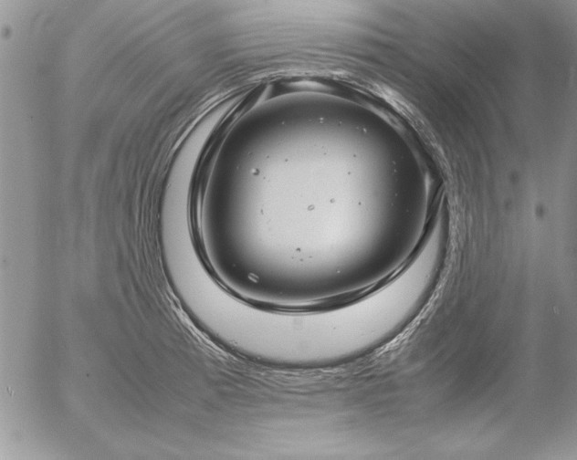 X0000057081185200509091240