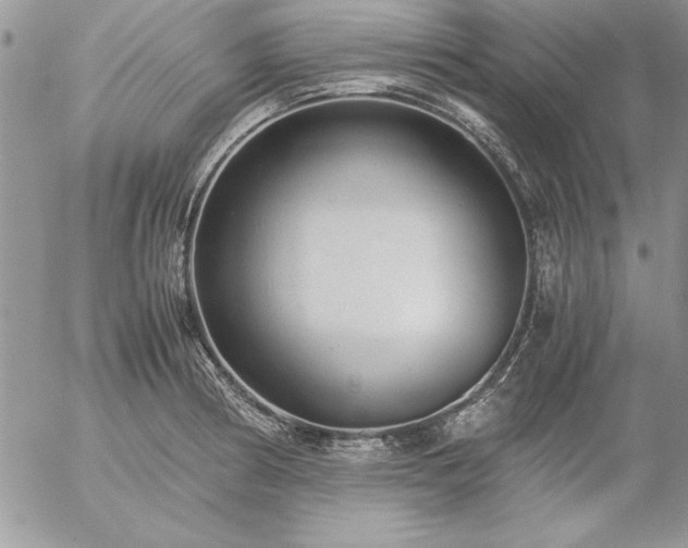 X0000057081186200509091240