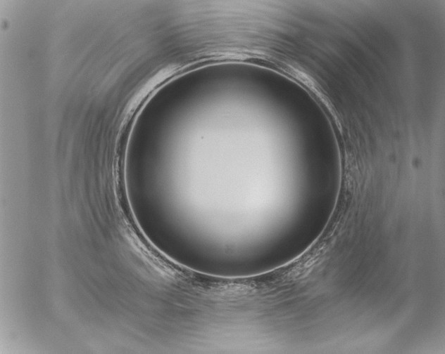 X0000057081187200509091240