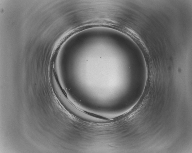 X0000057081188200509091240