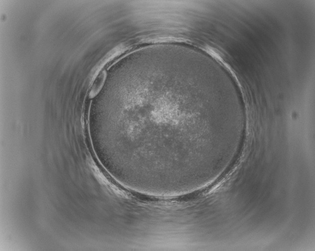 X0000057081189200509091240