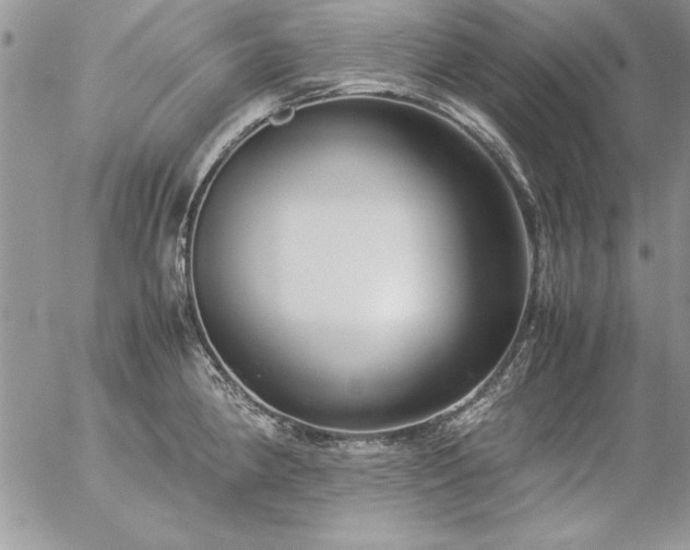 X0000057081190200509091240