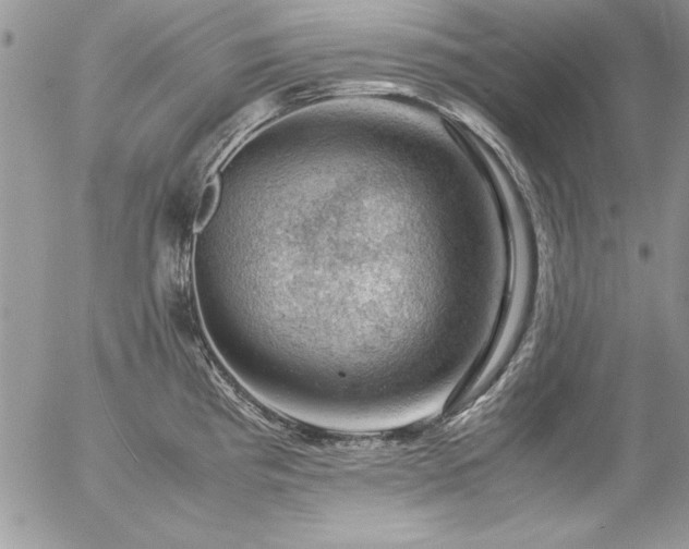 X0000057081193200509091240