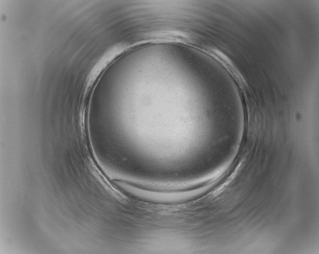 X0000057081196200509091240