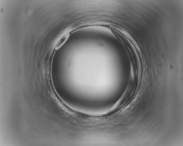 X0000057081197200509091240