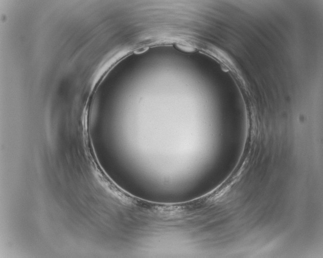 X0000057081198200509091240