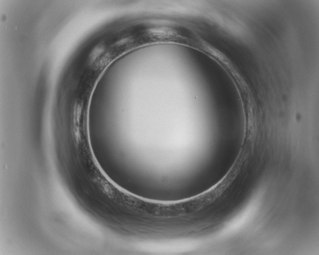 X0000057081199200509091240