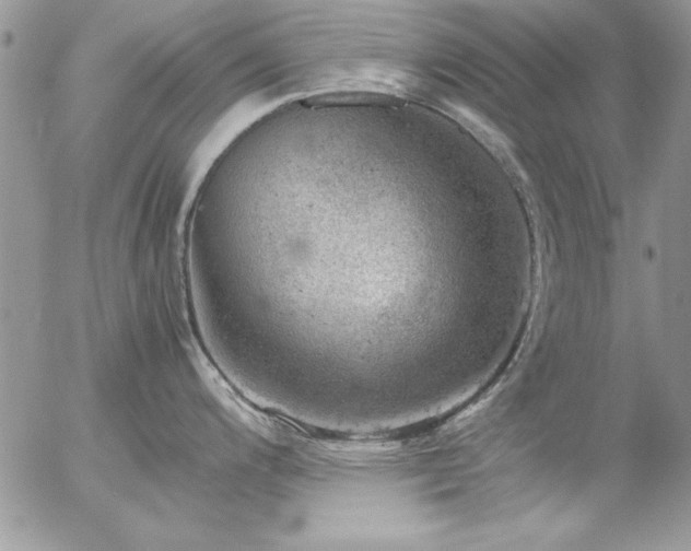 X0000057081200200509091240