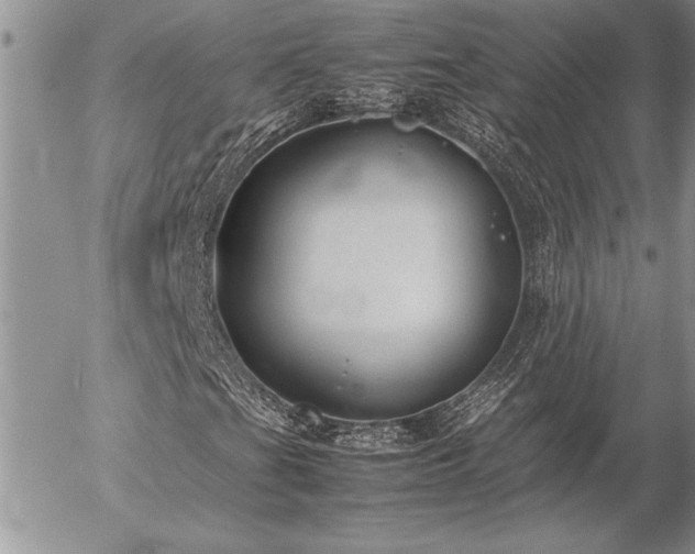 X0000057081201200509091239