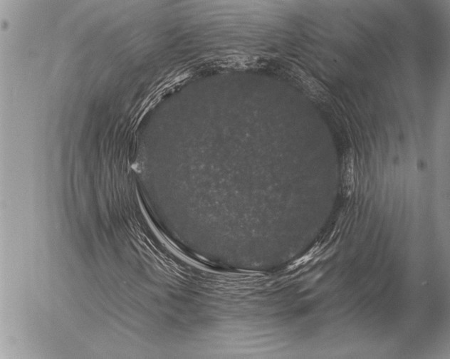 X0000057081202200509091239