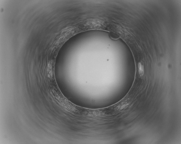 X0000057081203200509091239