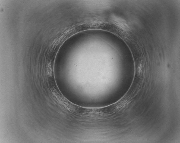 X0000057081204200509091239