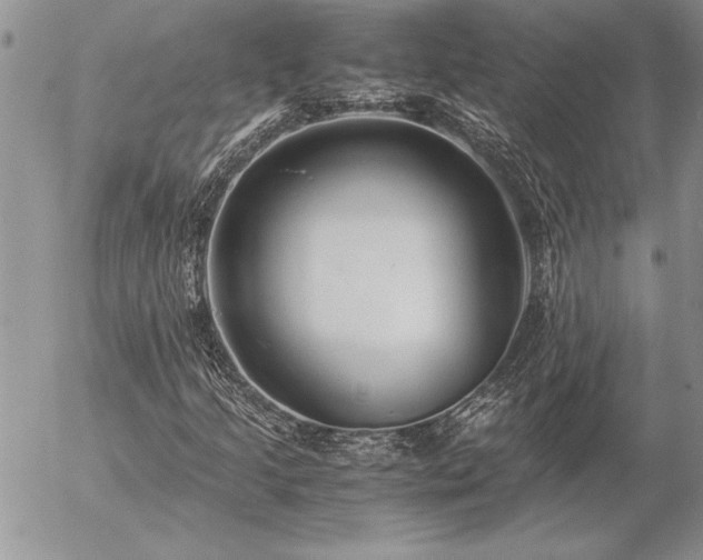 X0000057081205200509091239