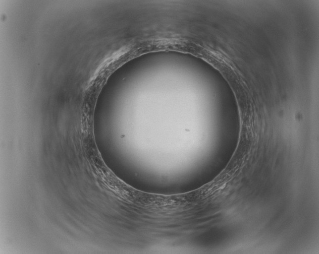 X0000057081207200509091239