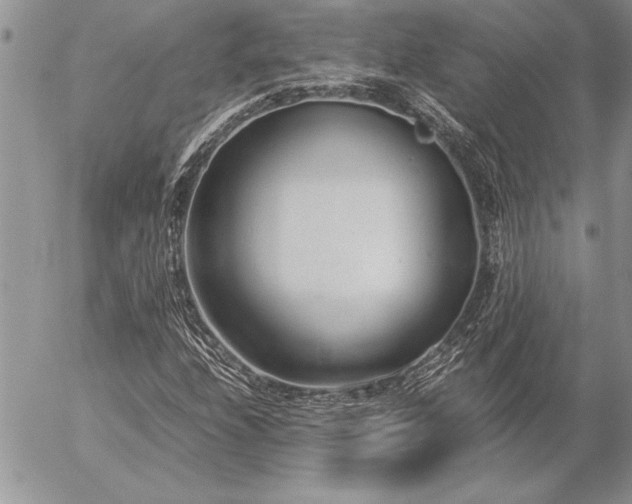 X0000057081208200509091239