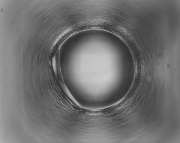 X0000057081210200509091239