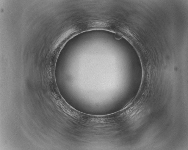 X0000057081211200509091239