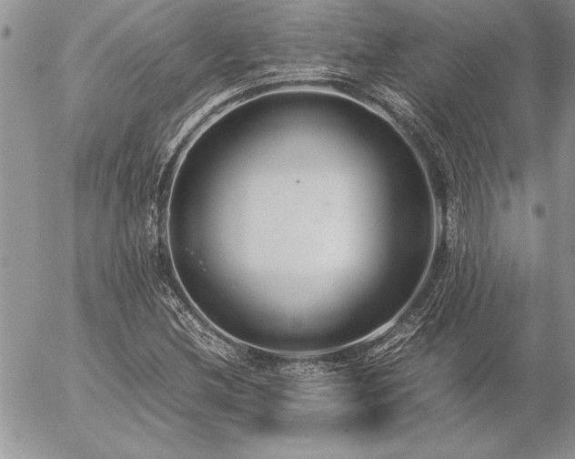 X0000057081212200509091239