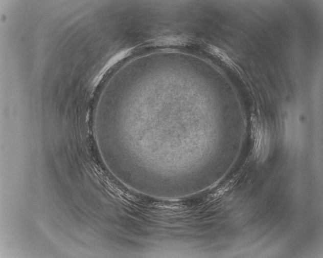 X0000057081213200509091239