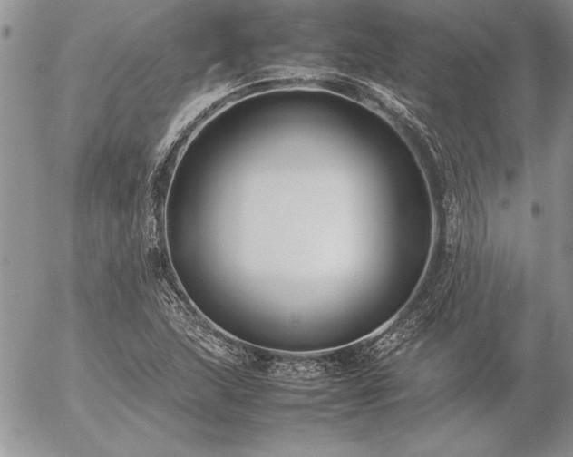 X0000057081215200509091239