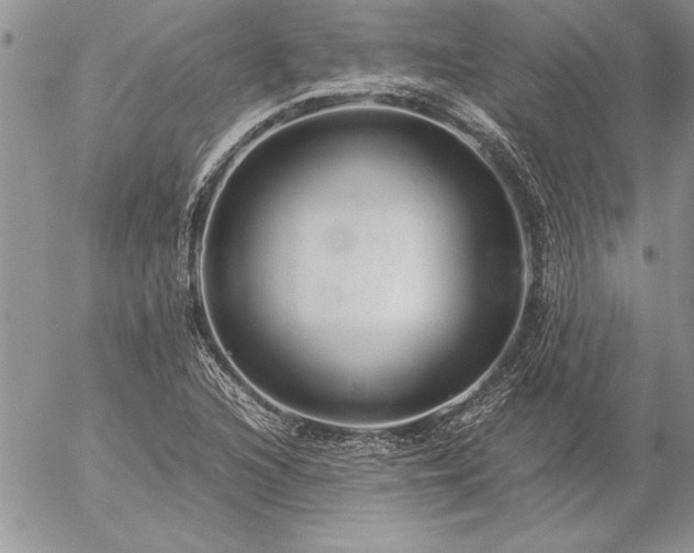 X0000057081216200509091239