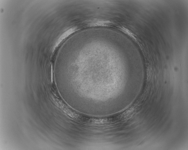 X0000057081219200509091239