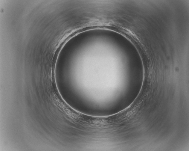 X0000057081220200509091239