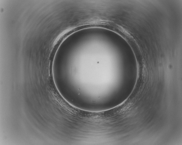 X0000057081222200509091239