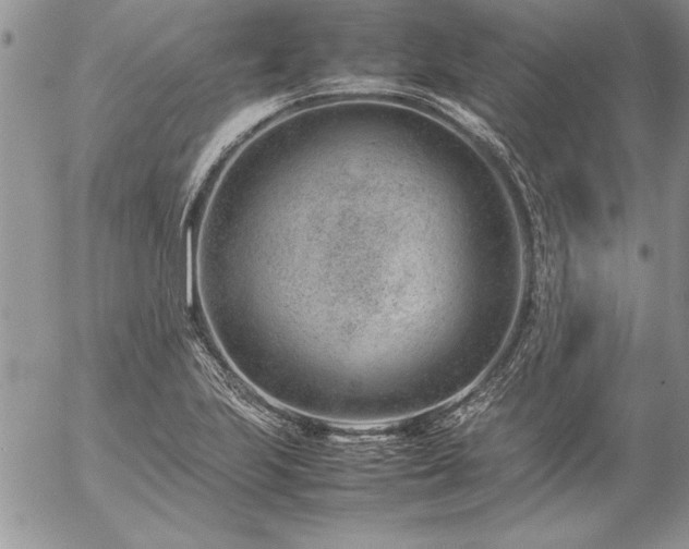 X0000057081223200509091239