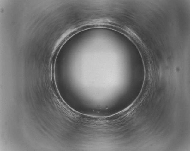 X0000057081224200509091239