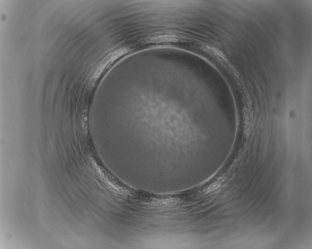 X0000057081225200509091239