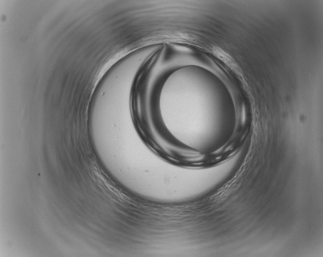 X0000057081226200509091239