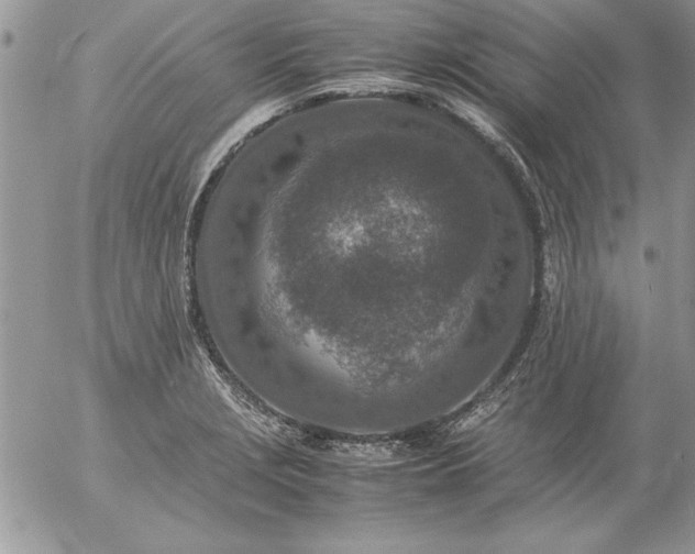 X0000057081229200509091239