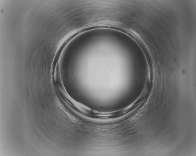 X0000057081230200509091239