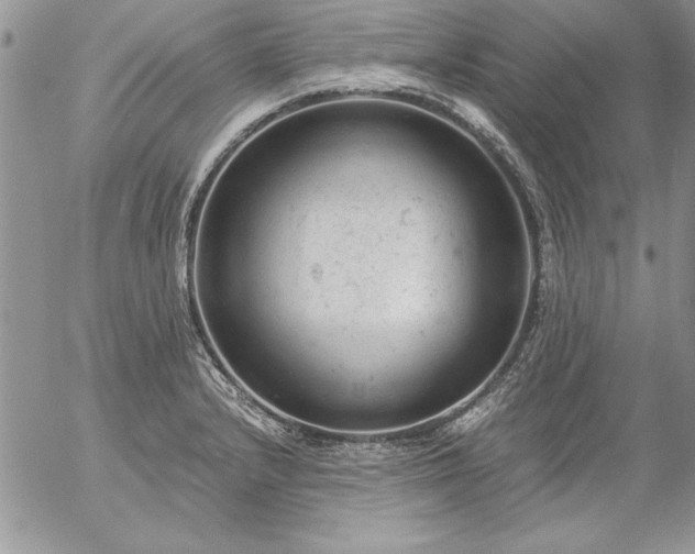 X0000057081232200509091239