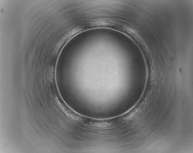 X0000057081233200509091239