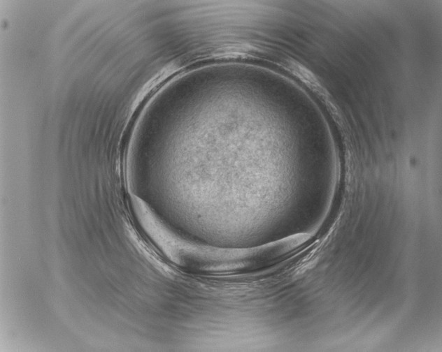 X0000057081234200509091239