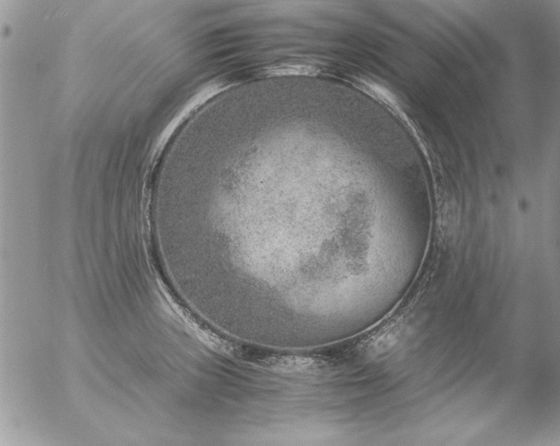 X0000057081235200509091239